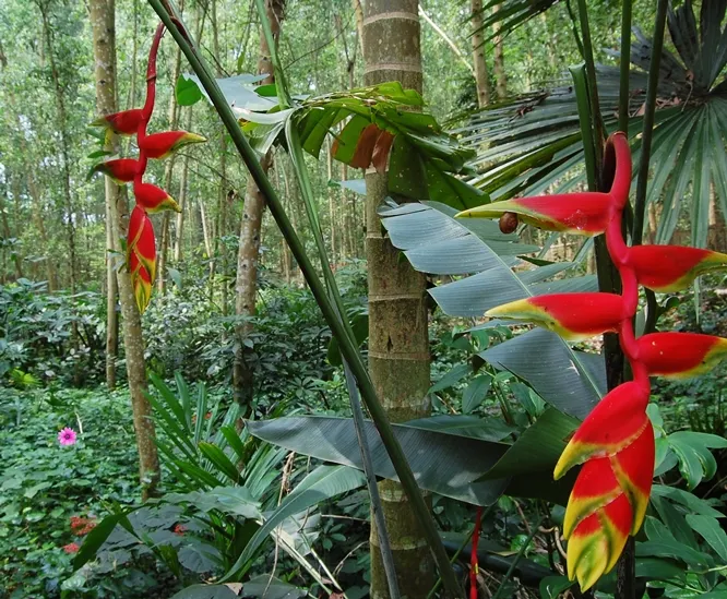 2-Day Thai Hai Eco-Village Cycling Tour